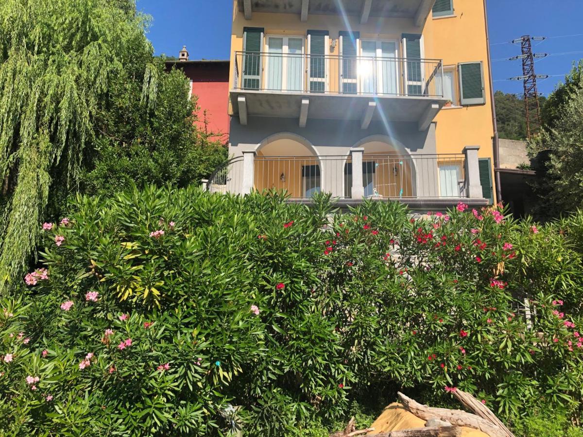 דרביו Cottage Il Cigno Con Accesso Al Lago - Como Lake מראה חיצוני תמונה